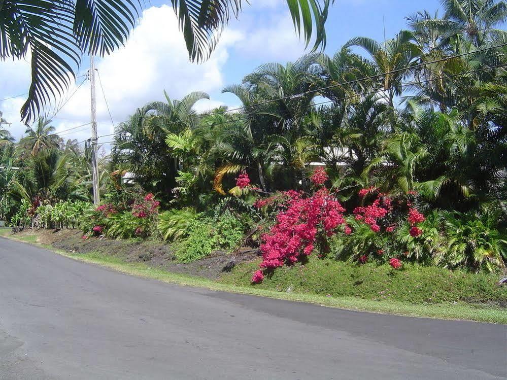 Aaron'S Cottage Hilo Exteriör bild
